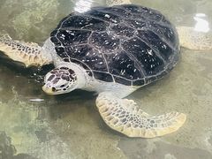 -嘉兴海底世界