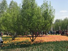 -长春公园(普阳街道)