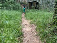 -上海佘山国家森林公园天马山园