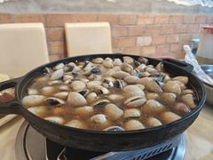 -顺德哥卜卜贝(旗舰店)