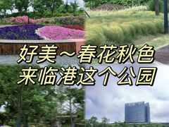 -春花秋色城市公园