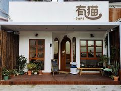 门面-有猫主题·治愈系猫咖(曾厝垵店)