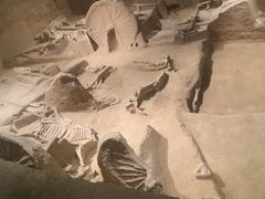 -洛阳周王城天子驾六博物馆