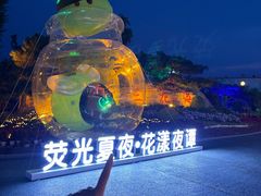 -荷兰花海