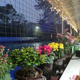 清水河畔新网红餐厅