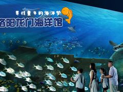 -洛阳龙门海洋馆
