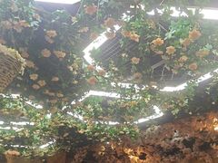 -山西派(桥东街店)