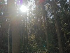 -青龙山国家森林公园
