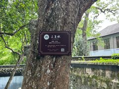 -绮园景区