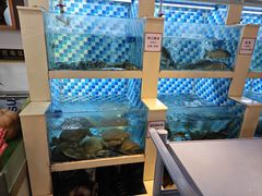 -野渡坡·极致湘菜·庭院餐厅(汉阳店)