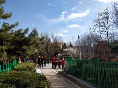 -双榆树公园