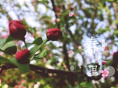 -荆川公园