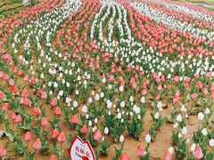 -咸阳湖景区-统一广场