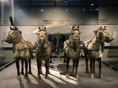 -秦始皇帝陵博物院(兵马俑)