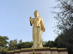 -西双版纳勐泐文化旅游区