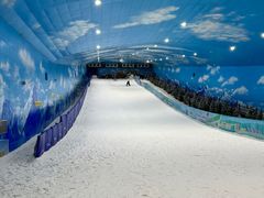 -世界之窗阿尔卑斯冰雪世界