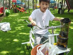 -草根堂农场