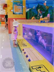 -莫莉幻想儿童乐园(沈阳龙之梦大都汇店)