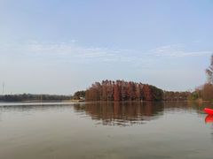 -上海海湾国家森林公园