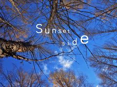 -莫尔道嘎国家森林公园