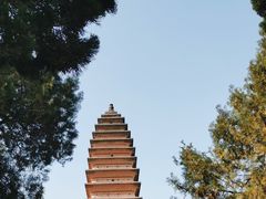 -洛阳白马寺