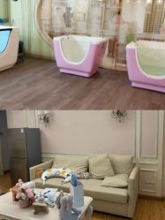 -生命加•Q考拉月子会所(玫瑰园店)