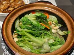 虾酱啫唐生菜-煲煲好(朝阳门店)