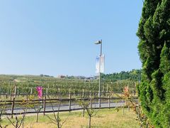 -泰生小镇旅游景区