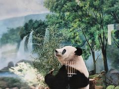 -杭州动物园