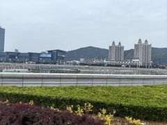 -大连君悦酒店