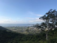 -三亚亚龙湾人间天堂鸟巢度假村
