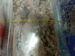 -陆稿荐观前街店