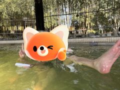 -三江森林温泉度假区