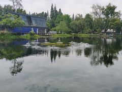 -成飞公园