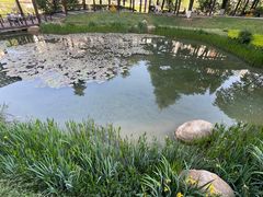 -花果园湿地公园