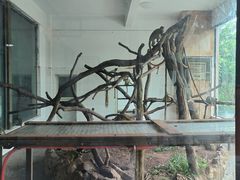 -乐和乐都主题乐园