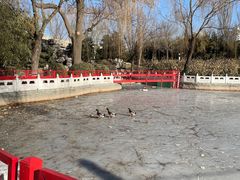 -丰台花园