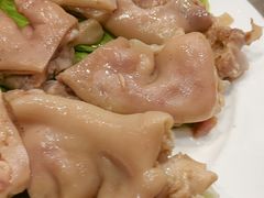 -丁老爷子苏香圆