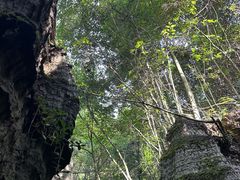 -梭布垭石林景区