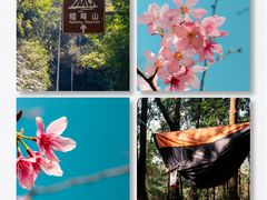 -广州市帽峰山景区