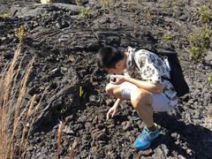 -夏威夷火山国家公园