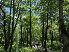 -玉渡山自然风景区