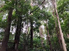 -南岗山公园