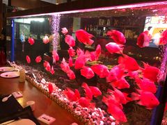 -火舞铁板烧(龙岗中心城店)
