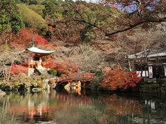 -醍醐寺