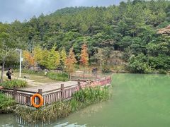 -广州白江湖森林公园