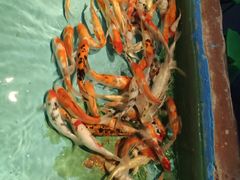 -常州海昌海洋探索馆