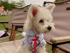 -云栖山谷露营地·团建年会·生日派对