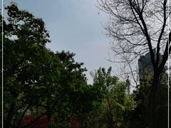 -迎泽公园