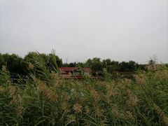 -古塔公园